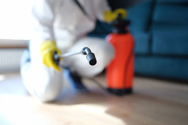 Professional Mold Removal in Overland, MO